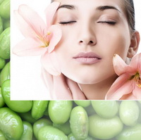 PHOSPHOLIPON® 80H (Фосфолипон 80H) PHOSPHOLIPON® 80H (Фосфолипон 80H)